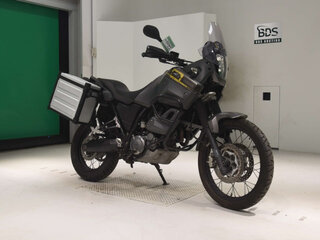 2013 Yamaha XT660Z Tenere, серый, 730000 рублей, вид 3