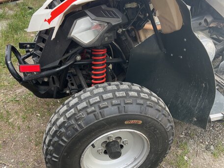 2008 BRP Can-Am DS 250, белый, 400000 рублей, вид 3