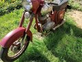 1963 Jawa 250, красный, 185000 рублей - вид 4