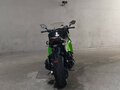 2010 Kawasaki Ninja 1000, зелёный, 777000 рублей - вид 3