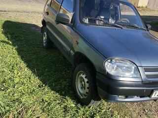 2008 Chevrolet Niva I, серый, 289000 рублей, вид 5
