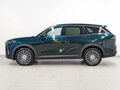 2024 Chery Tiggo 9 I, зелёный, 3050000 рублей - вид 7