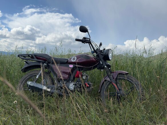 2022 Racer Alpha, пурпурный, 45000 рублей - вид 6