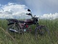 2022 Racer Alpha, пурпурный, 45000 рублей - вид 6