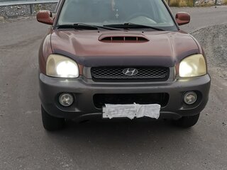 2001 Hyundai Santa Fe I, коричневый, 580000 рублей, вид 1
