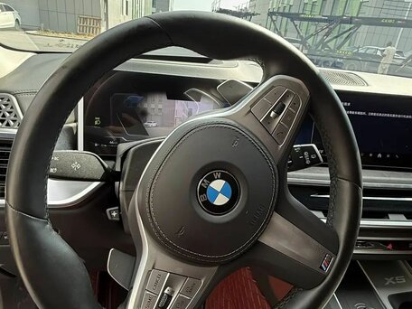 2024 BMW X5 Long 30Li IV (G05/G18) Рестайлинг, синий, 7700000 рублей, вид 4