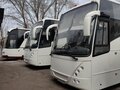 2001 Neoplan Euroliner, белый, 2650000 рублей - вид 1
