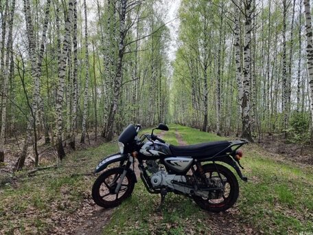 2018 Bajaj Boxer BM 125, чёрный, 99500 рублей, вид 2