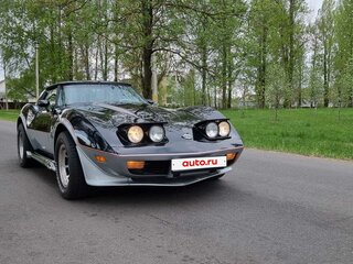1978 Chevrolet Corvette C3, чёрный, 7100000 рублей, вид 1