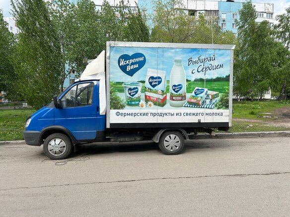 2008 ГАЗ ГАЗель (3302), синий, 600000 рублей - вид 5