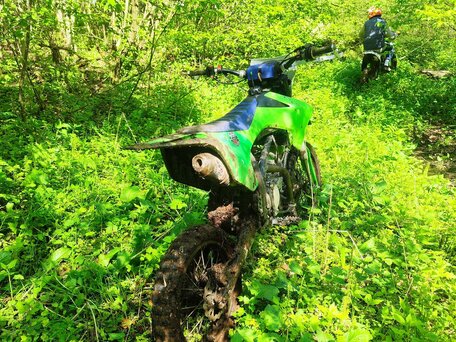 2022 Apollo RXF Freeride, зелёный, 100000 рублей, вид 3