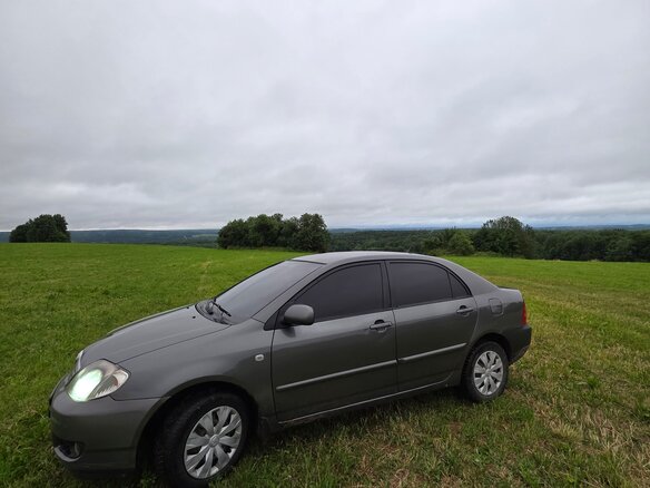2004 Toyota Corolla IX (E120, E130) Рестайлинг, серый, 430000 рублей - вид 9