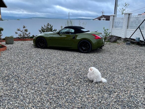 2010 Nissan 370Z I, зелёный - вид 6