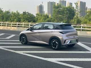 2021 BYD Dolphin 44.9 kWh I, серебристый, 1150000 рублей, вид 5