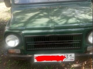 1995 ЛуАЗ 969М, зелёный, 170000 рублей, вид 1