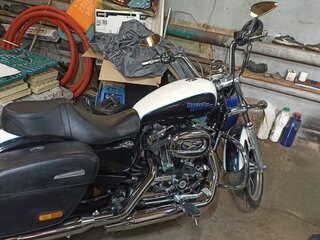 2014 Harley-Davidson Sportster 1200, бежевый, 1000000 рублей, вид 2