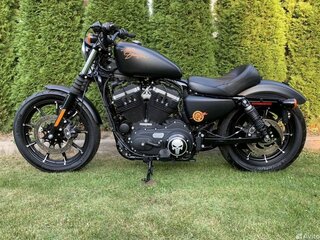 2019 Harley-Davidson Sportster 883, чёрный, 883000 рублей, вид 5