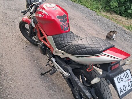 2015 Lifan LF250-19P, красный, 120000 рублей, вид 3