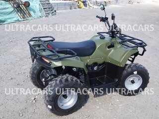 2026 Irbis ATV 200U, зелёный, 235196 рублей, вид 2