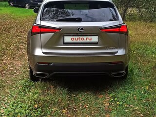 2019 Lexus NX 300 I Рестайлинг, серебристый, 4309218 рублей, вид 1