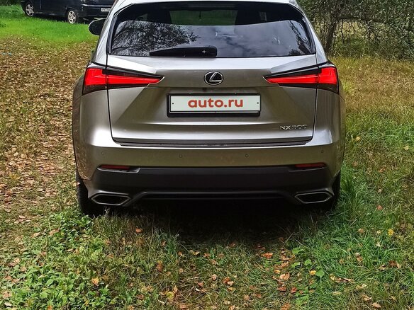 2019 Lexus NX 300 I Рестайлинг, серебристый, 4309218 рублей