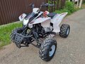2012 Patron Scaner, белый, 125000 рублей