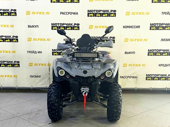 2025 Bison Hammer 250 PRO, серый - вид 1