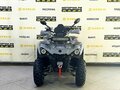 2025 Bison Hammer 250 PRO, серый - вид 1