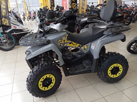 2025 Gladiator F200, серый, 299000 рублей, вид 3