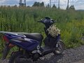 2013 Lifan LF50Q-2, фиолетовый, 45000 рублей - вид 3