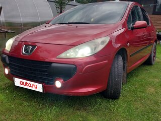 2006 Peugeot 307 I Рестайлинг, красный, 250000 рублей, вид 1