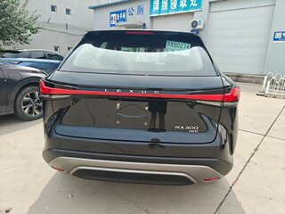 2025 Lexus RX 300 V, чёрный, 5048813 рублей, вид 2