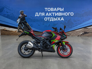 2026 Racer RC250XZR-A, красный, 194600 рублей, вид 3