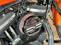 2020 Harley-Davidson Sportster 883, чёрный - вид 5