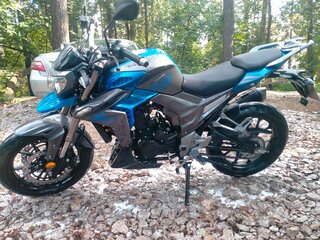 2023 Regulmoto T-Leopard 300, синий, 210000 рублей, вид 2
