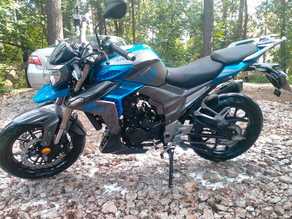 2023 Regulmoto T-Leopard 300, синий, 210000 рублей - вид 1