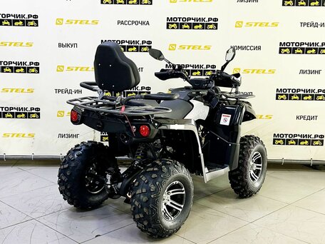 2026 Bison Hammer 200, чёрный, 229000 рублей, вид 3