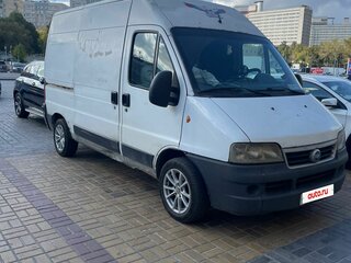 2010 Fiat Professional Ducato, белый, 600000 рублей, вид 2