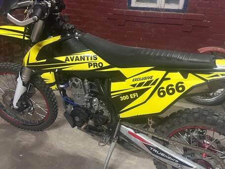 2022 Avantis Enduro 300 Pro/EFI, жёлтый, 230000 рублей, вид 2