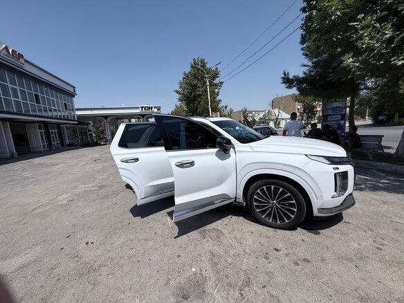 2023 Hyundai Palisade I Рестайлинг, белый - вид 10