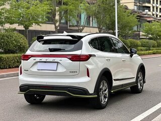 2022 Haval Chitu, белый, 1130000 рублей, вид 4