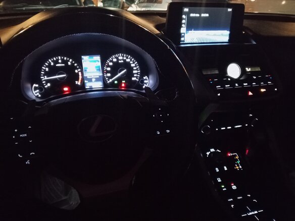 2020 Lexus NX 200 I Рестайлинг, серый, 3650000 рублей - вид 20