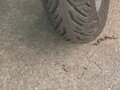 2010 Honda PCX 125, красный, 210000 рублей - вид 5