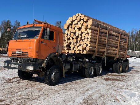 2008 КамАЗ 44108, оранжевый, 1750000 рублей, вид 1