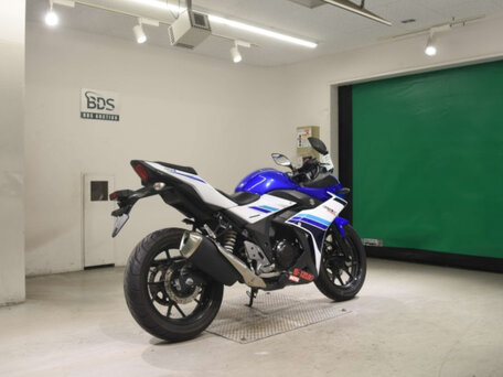 2017 Suzuki GSX 250 R, синий, 310000 рублей, вид 5
