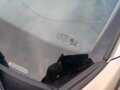 2006 Renault Megane II, бежевый, 400000 рублей - вид 11