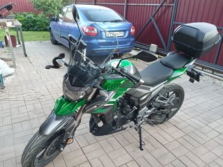 Regulmoto T-Leopard 300