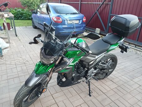 2022 Regulmoto T-Leopard 300, зелёный, 197000 рублей, вид 1