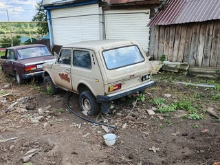 1983 Lada (ВАЗ) 2121 (4x4) I, бежевый, 50000 рублей, вид 2