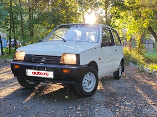 2002 Lada (ВАЗ) 1111 Ока КамАЗ, белый, 158000 рублей, вид 1